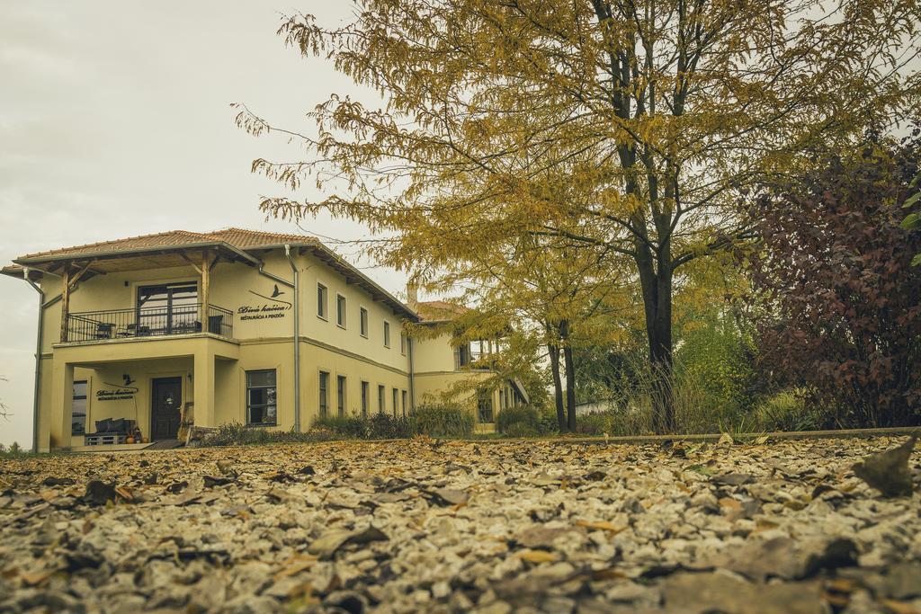 Diva Kacica Restaurant & Pansion Hotel Komarno Exterior photo